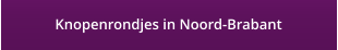 Knopenrondjes in Noord-Brabant