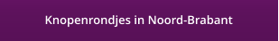 Knopenrondjes in Noord-Brabant